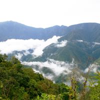 Los Yungas is the largest producer of coca in Bolivia.