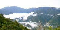 Los Yungas is the largest producer of coca in Bolivia.