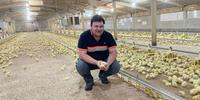 James Mottershead and his team rear about 1.5 million chickens a year, as well as producing crops and renewable energy.